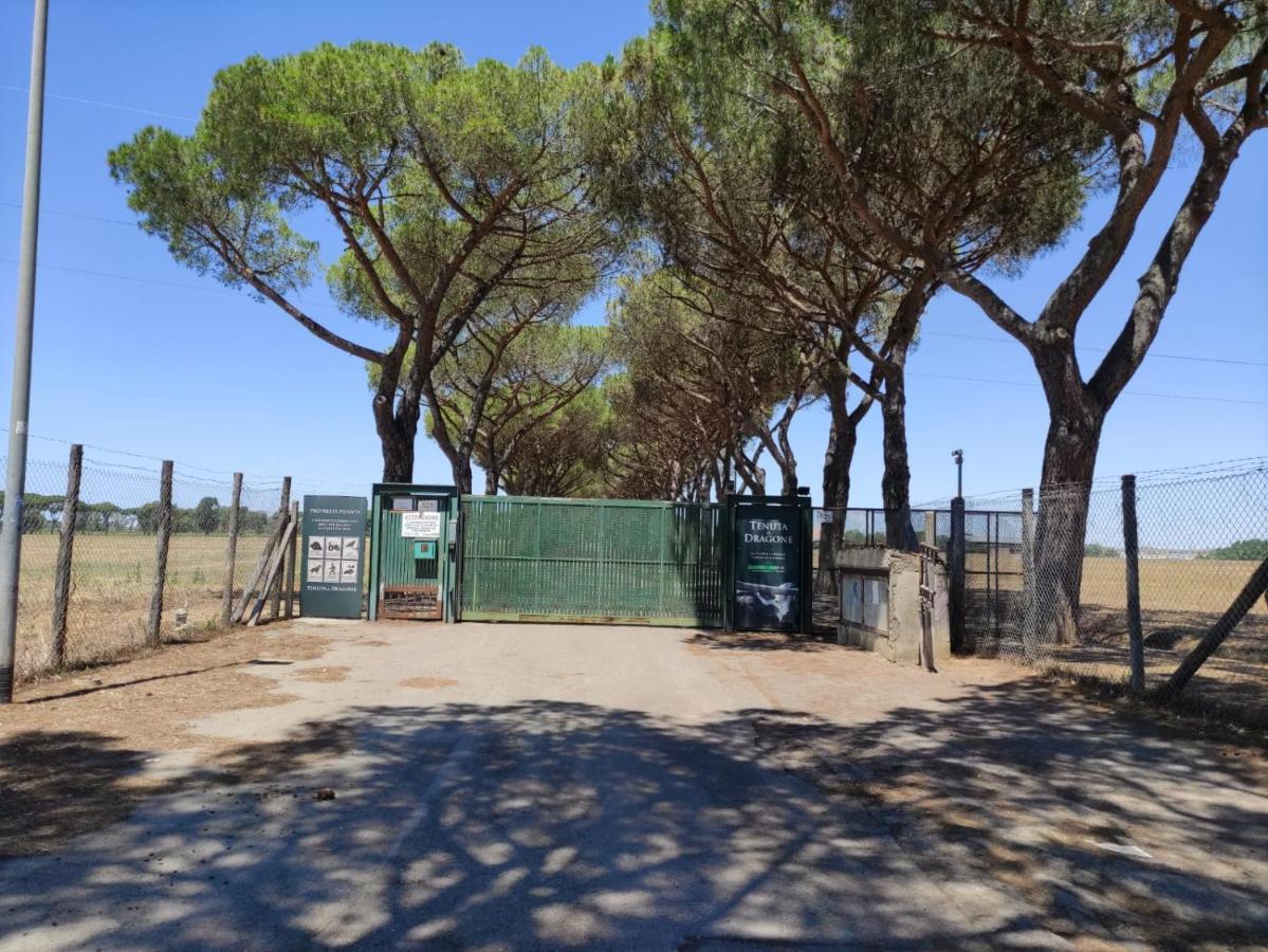 Country Love Dragona House Tra Mare E Citta Acilia Exterior photo